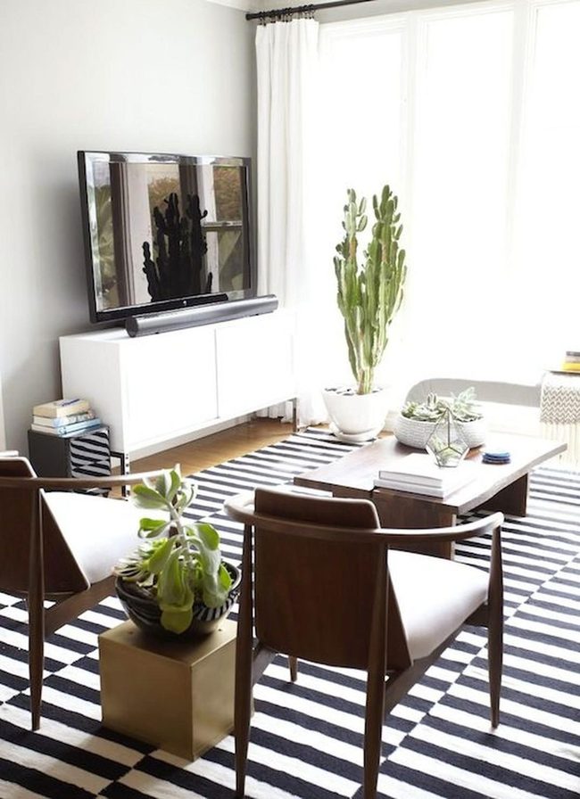Black Stripes Meet Desert Green