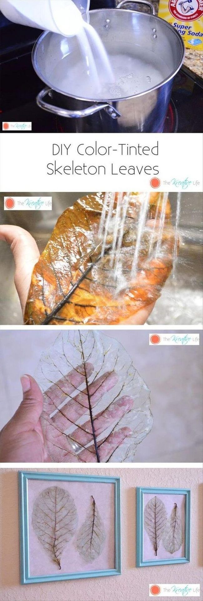 Bleached Leaf Vein Lace