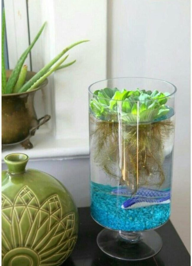 Blue Stone Water Garden