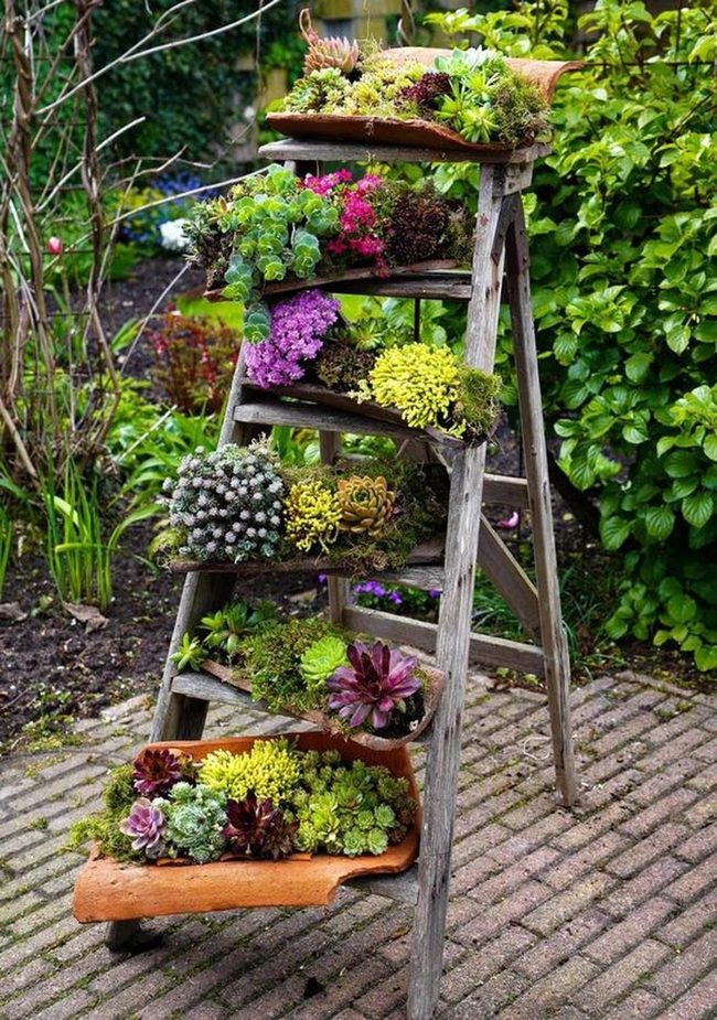 Wooden Ladder Garden Vertical