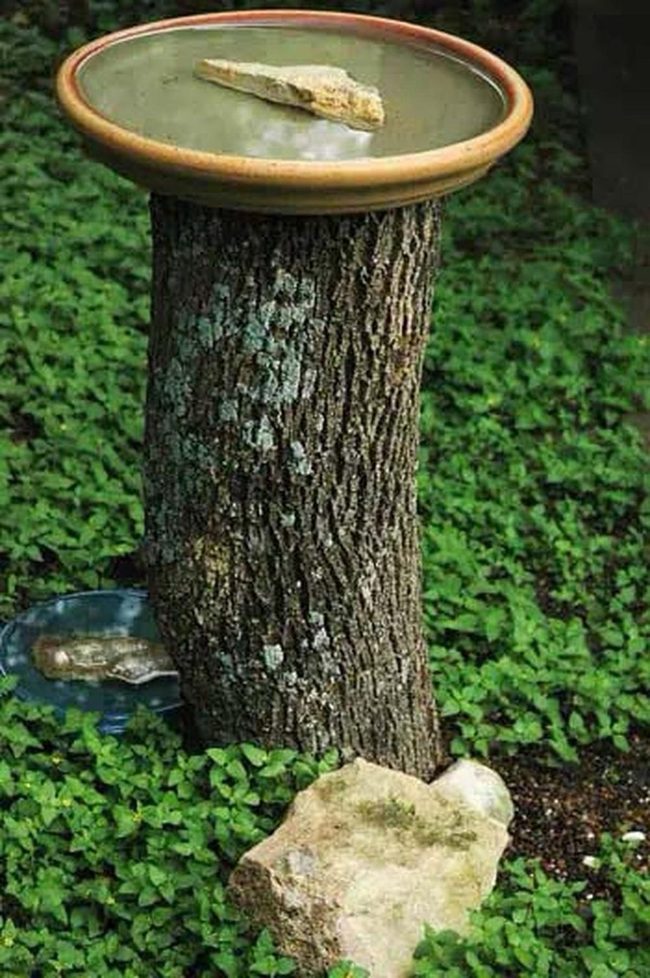 Stump Bird Bath With Terracotta Saucer