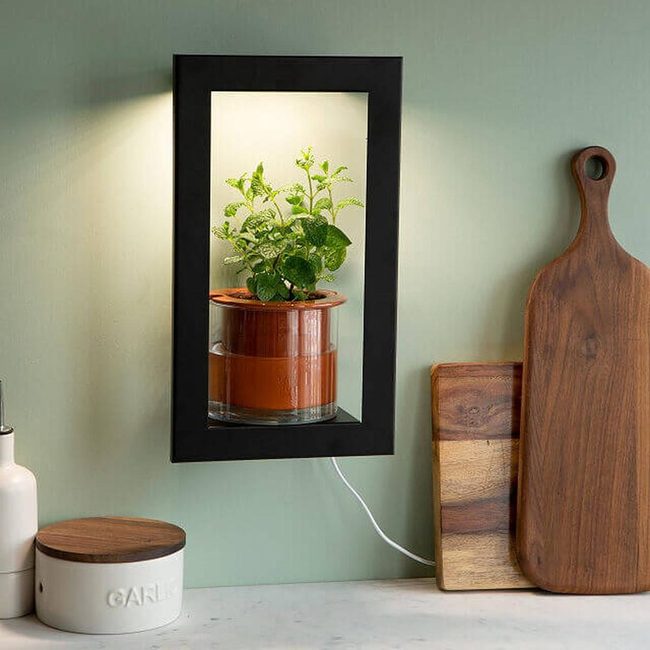 Black Frame Living Wall Garden