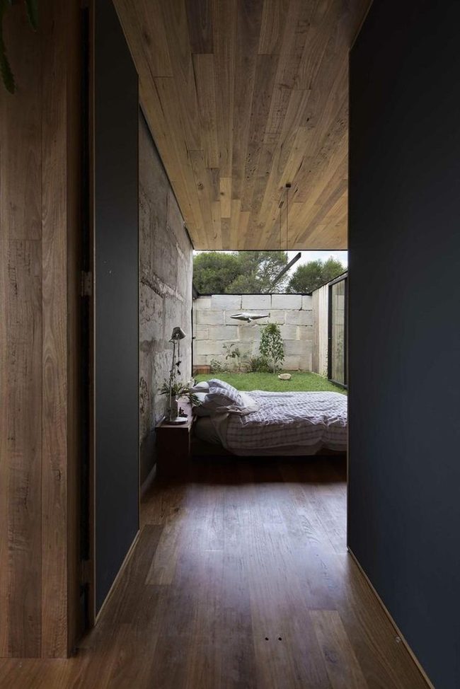 Concrete Walls Meet Wood Warmth