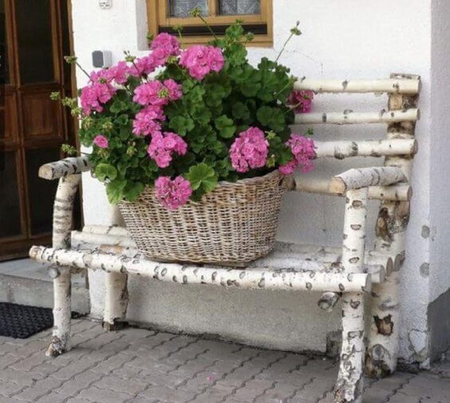 Pale Birch Bench, Wildflower Backdrop