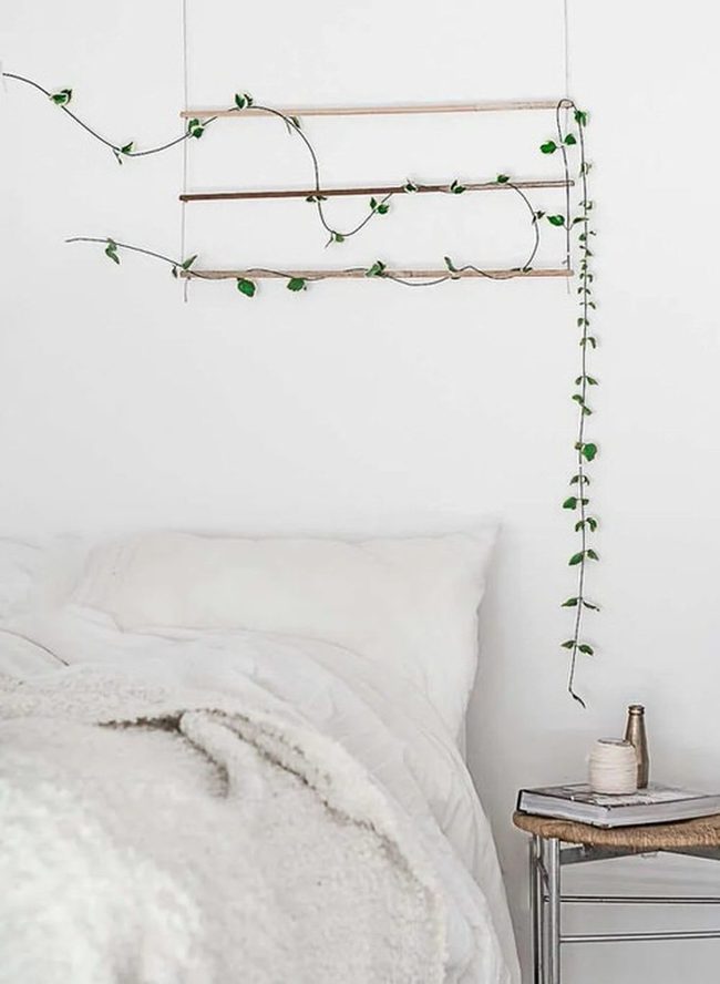 Climbing Vines Fill Vertical Walls