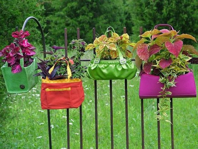 Vintage Bags Blooming Plants