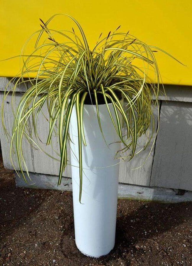Bright Green Vertical Pipe Gardens