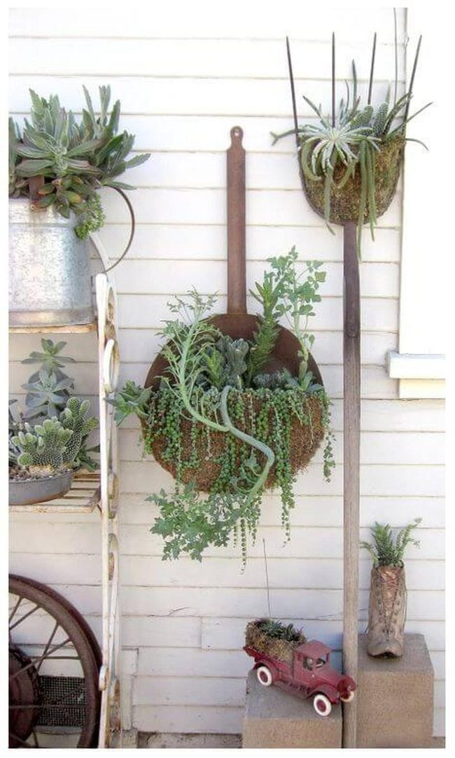 Living Green Wall Display