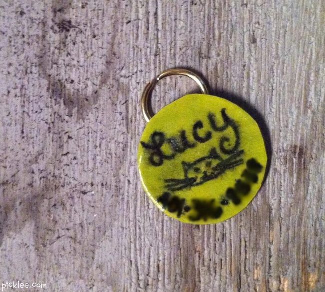 Yellow Round Name Tag With Cat