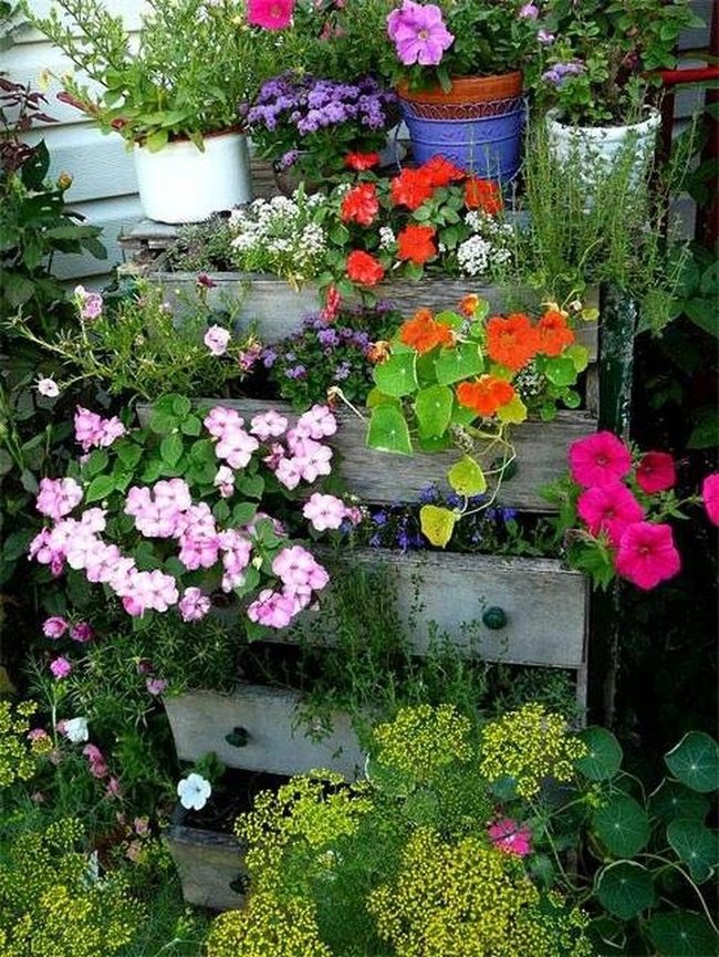 Stacked Drawers Bursting Blooms