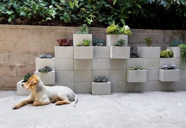 Gray Cinder Walls With Living Succulents