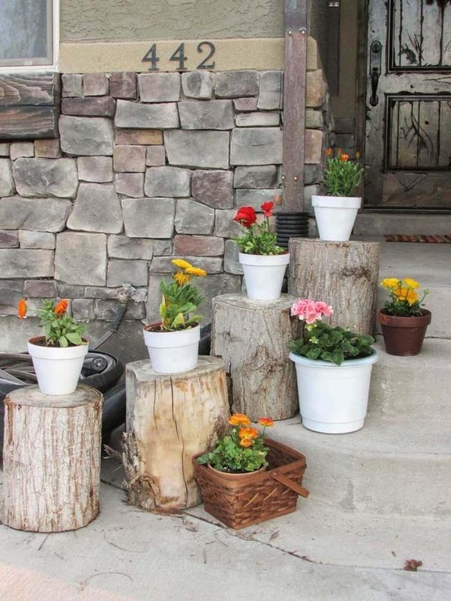 Stacked Logs, Bursting Blooms