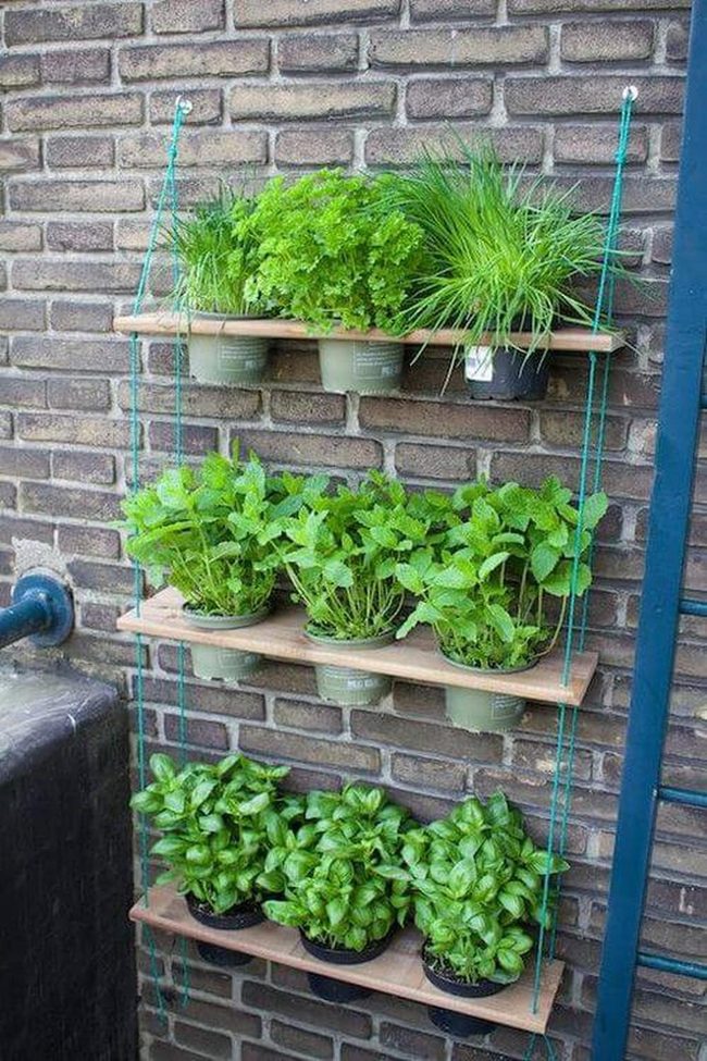 Fresh Herbs On Stacked Wood