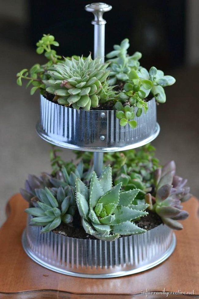 Stacked Succulents Green Levels