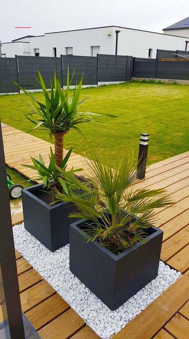 Black Planters, Green Statement
