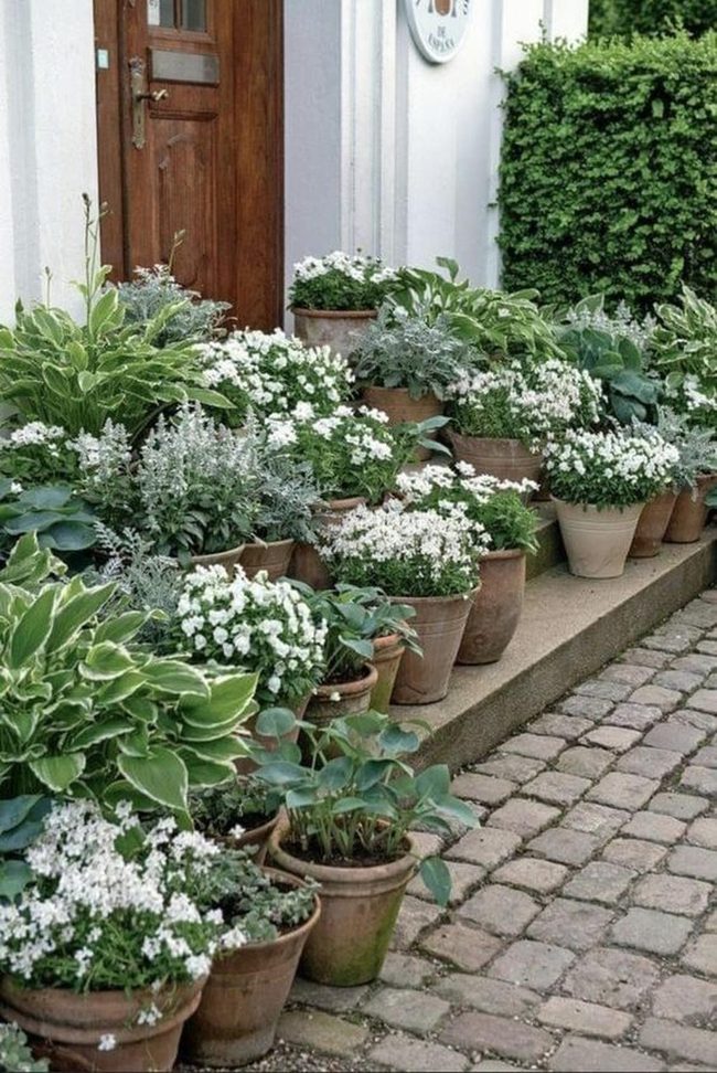 White Walls Green Botanical Entry