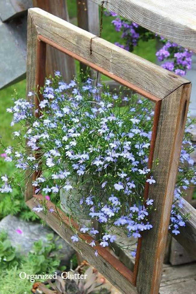 Blue Flowers In Wooden Frames