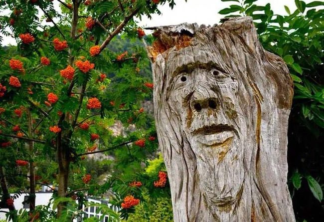 Chainsaw Carved Wooden Creatures