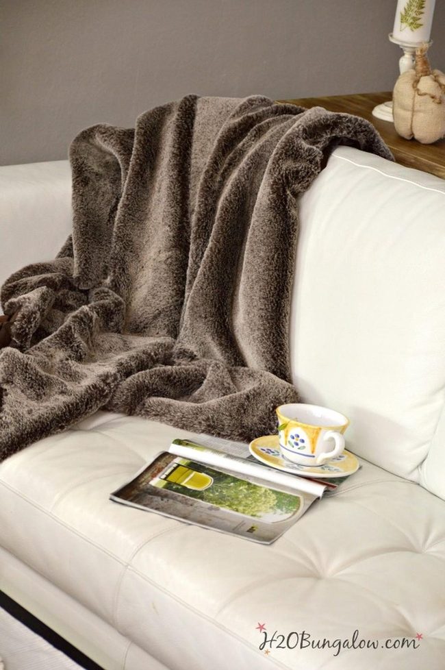 White Leather, Warm Walls, Brown Texture