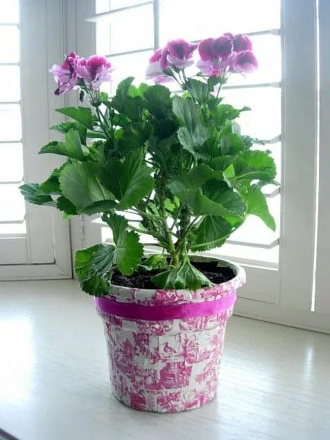 Shiny Foil Plant Wraps