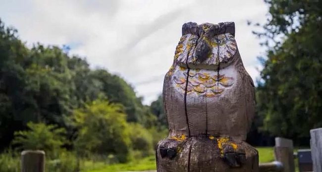 Towering Wood Animal Sculptures