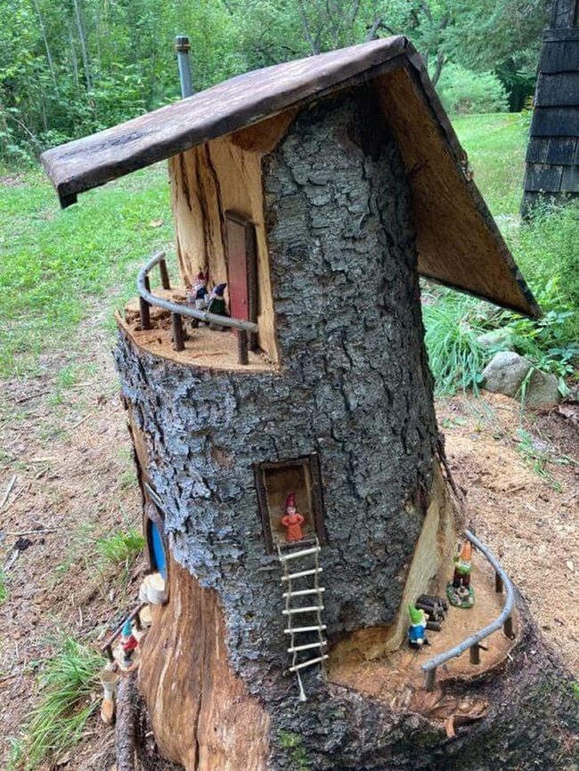 Wooden Tree Stumps With Living Green