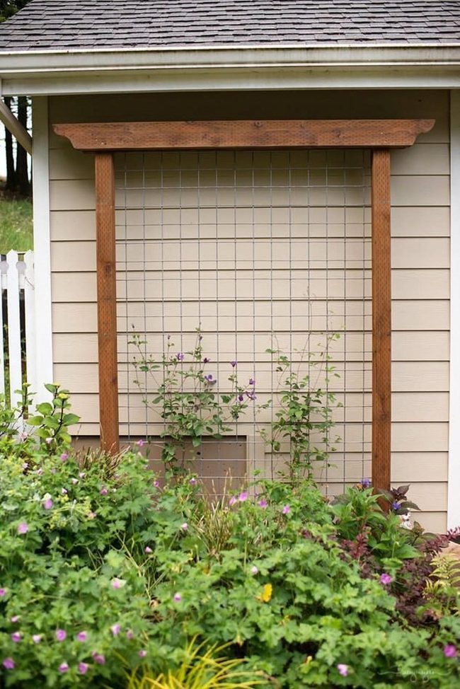 Wooden Lattice Garden Shadows