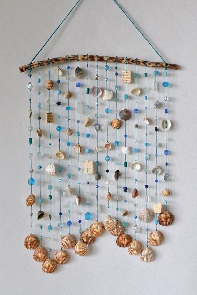 Colorful Shells Catch Sunlight