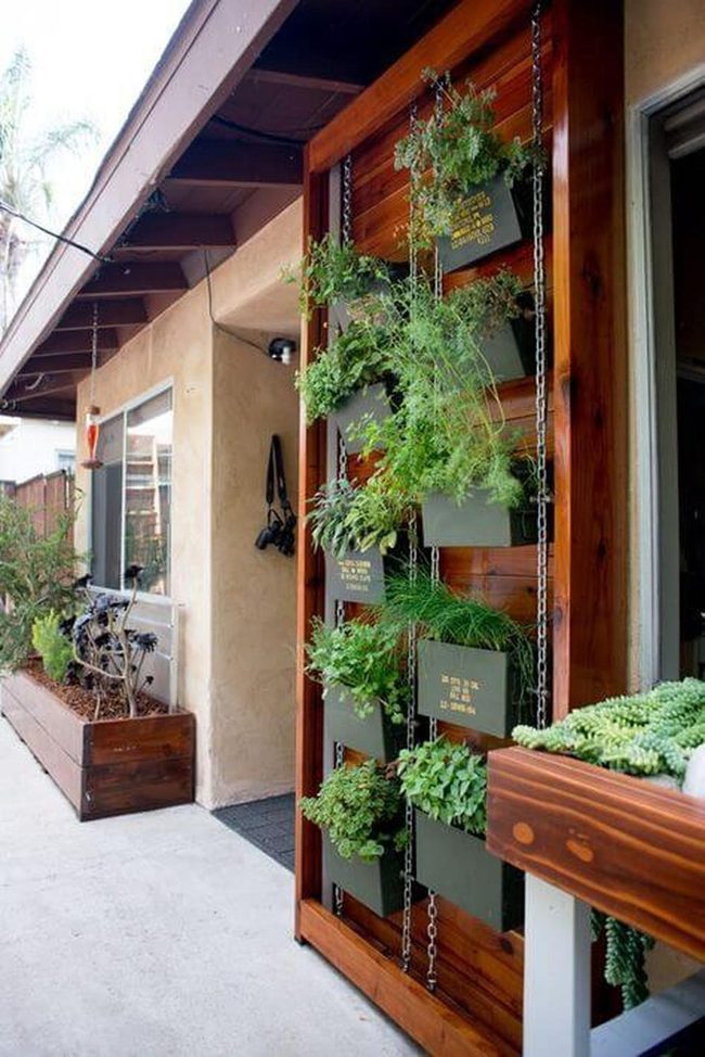 Living Green Wall Garden