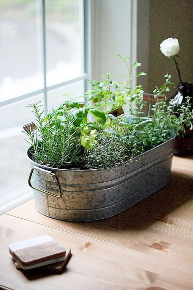 Weathered Metal Herb Container