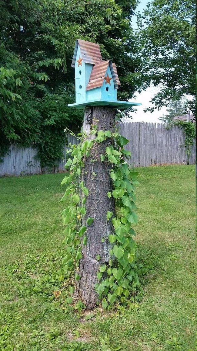 Painted Birdhouses On Wood Stumps