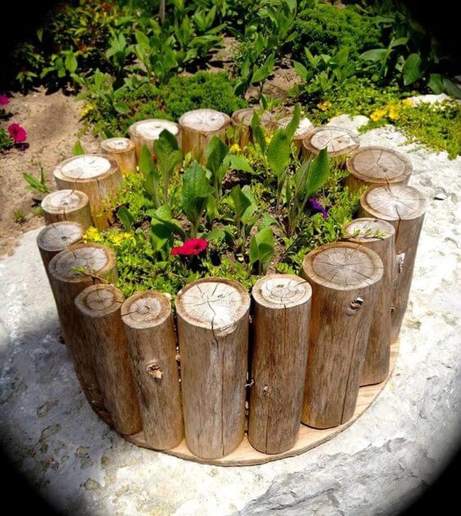 Wooden Logs Overflowing With Flowers