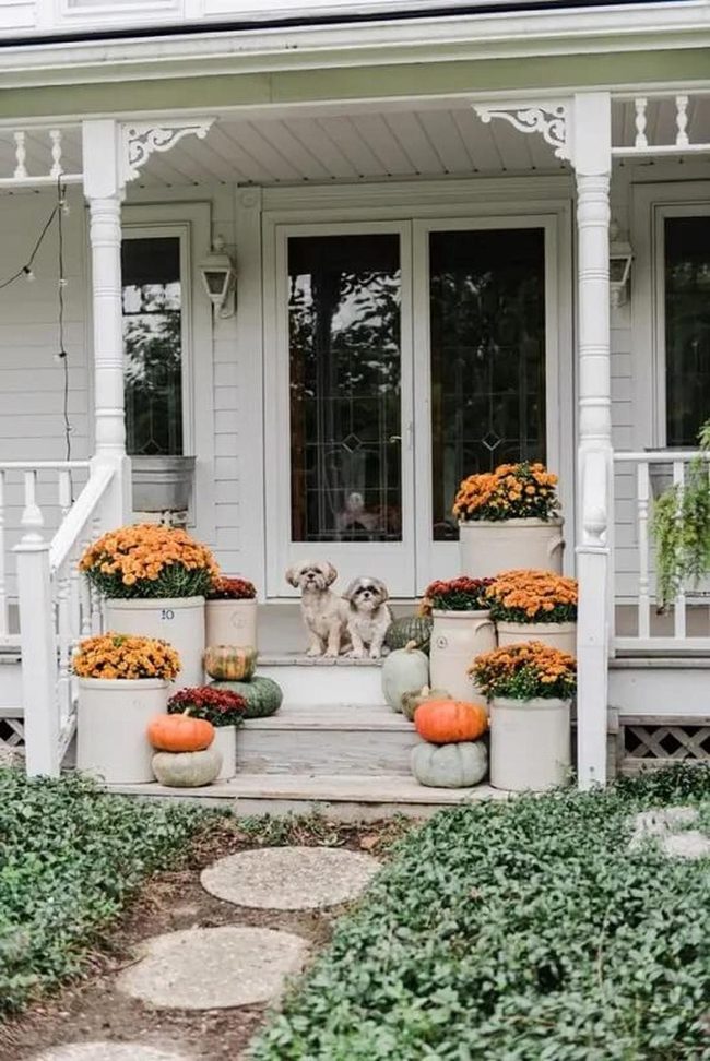Pumpkins Mums And Layered Stone