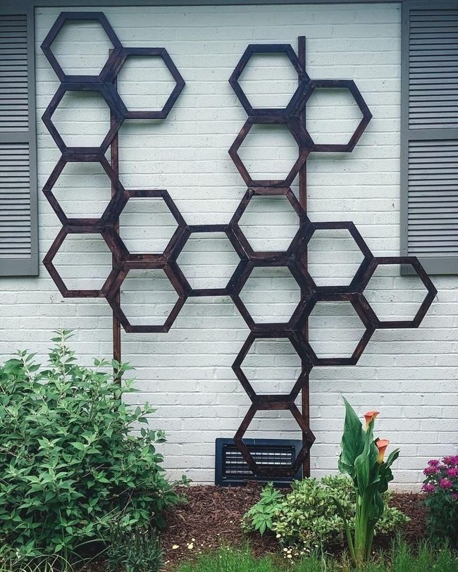 Honeycomb Trellis With Climbing Vines