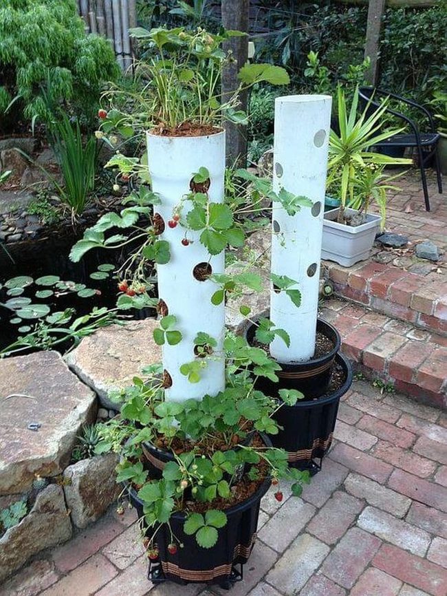 Stacked Pvc Strawberry Tower