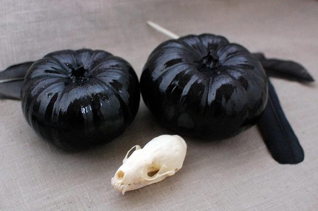 Obsidian Pumpkins With Skull Contrast