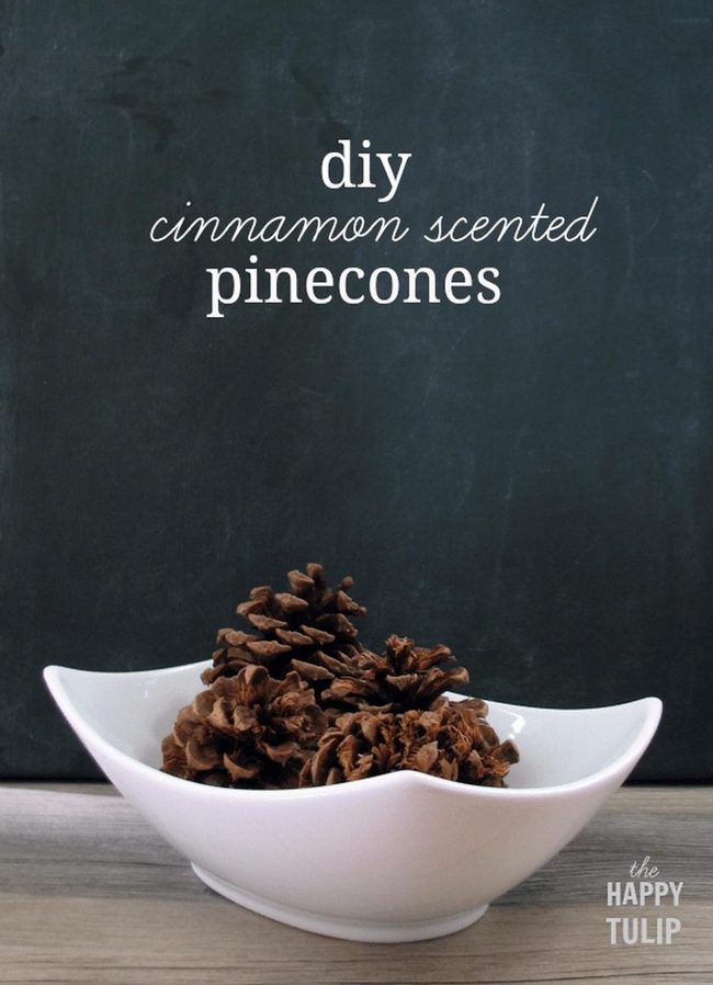 Rustic Brown Pinecones White Bowl