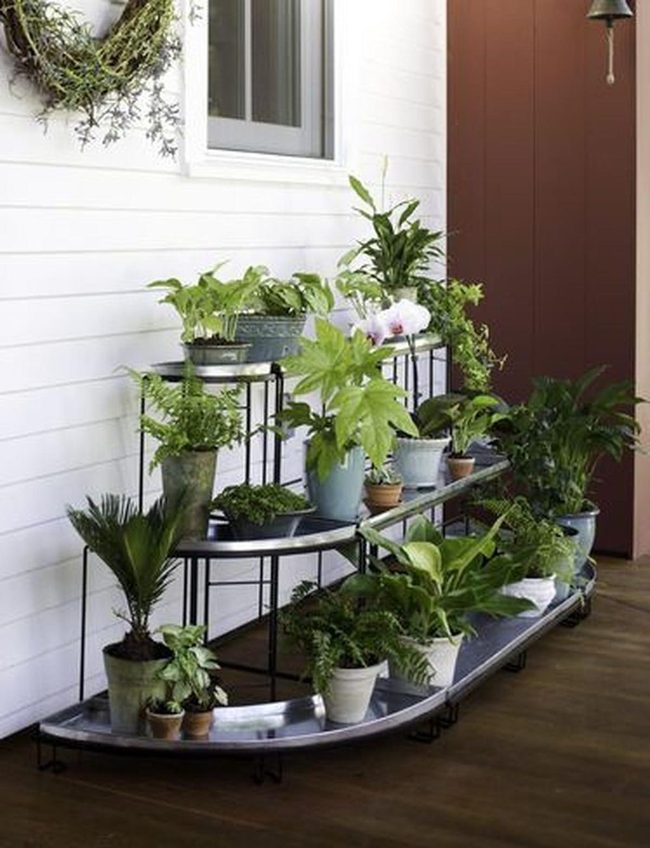 Living Green Wall Display