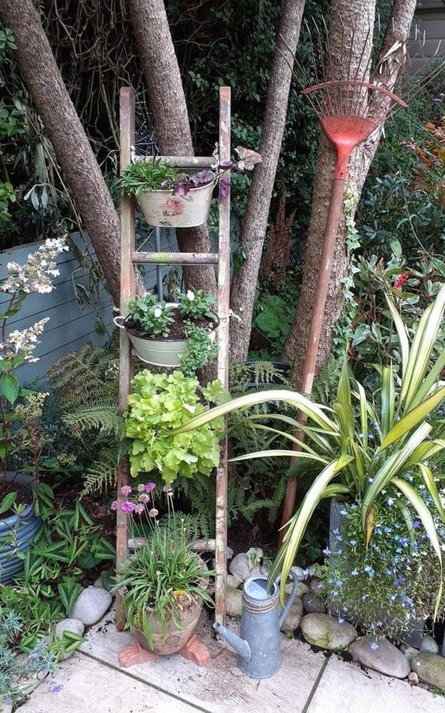 Red Rake Garden Ladder