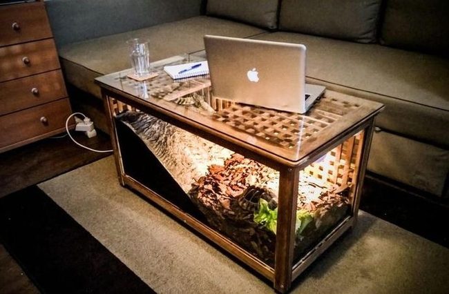 Glass Terrarium Table, Living Room Focal Point