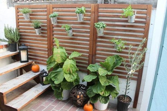 Wood Panel Living Wall Garden