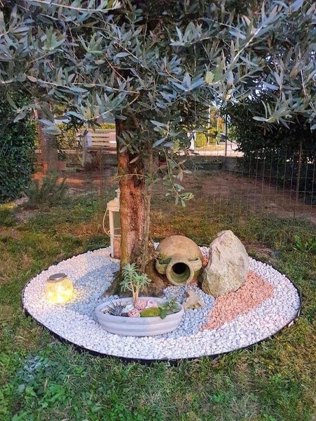 Recycled Garden With Olive Tree