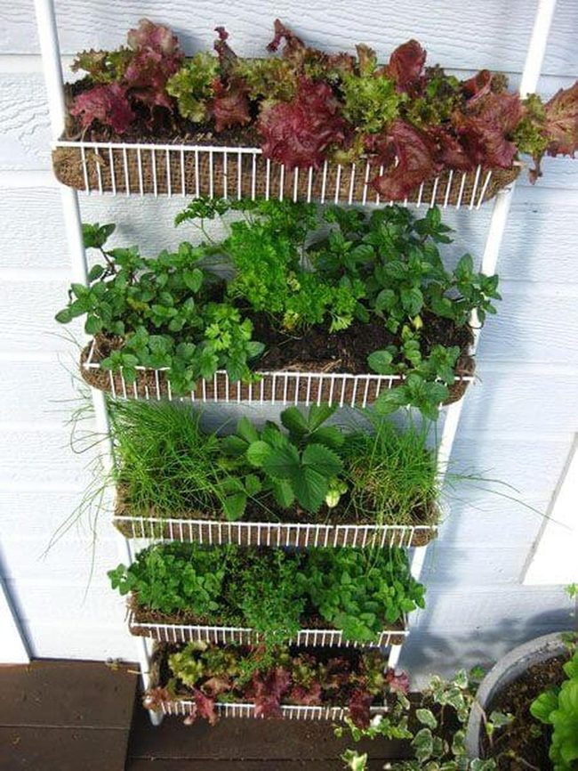 Vertical Green Herb Tower