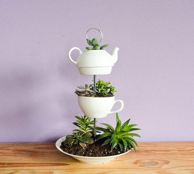 Stacked Teacups With Trailing Succulents