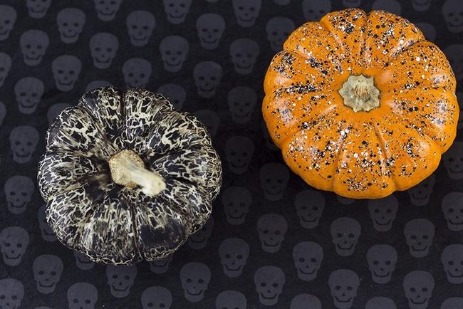 Spotted Orange And Marbled Cream Pumpkins