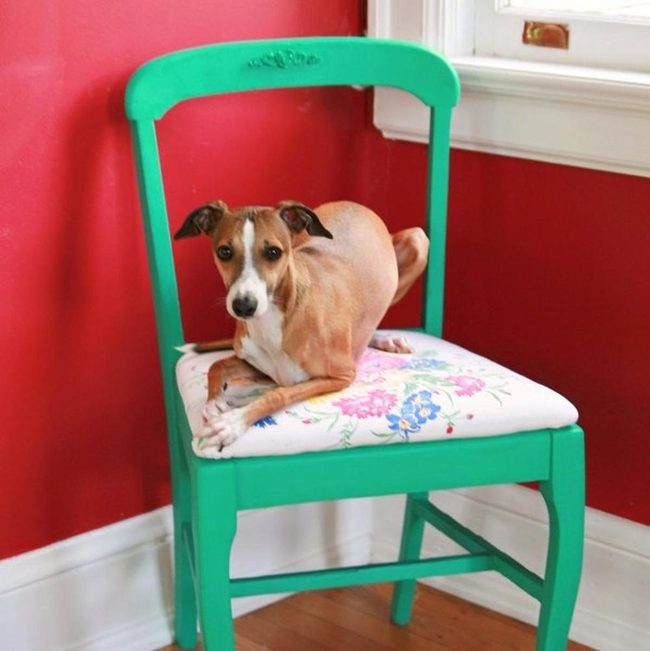 Red Walls, Green Chairs, Living Room