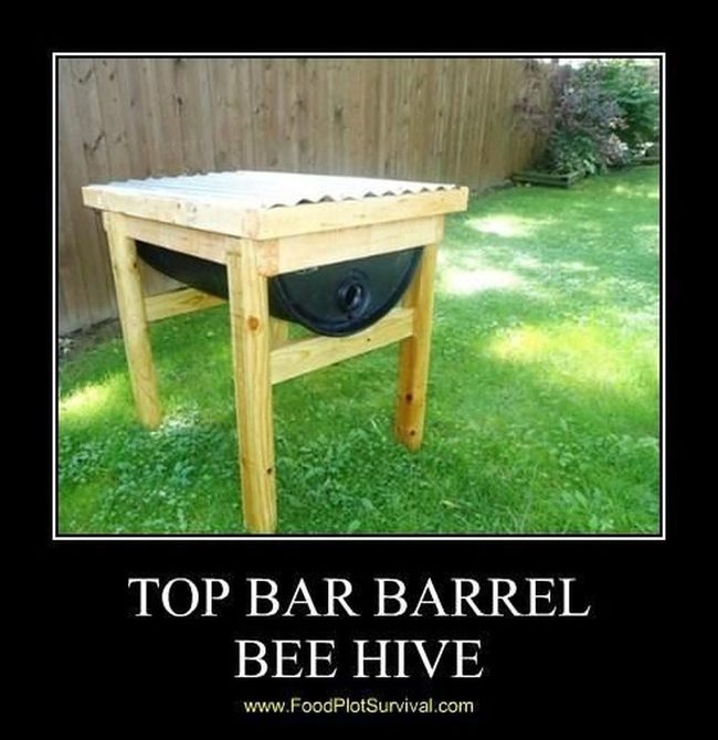 Light Wood Bee Boxes Dark Barrels