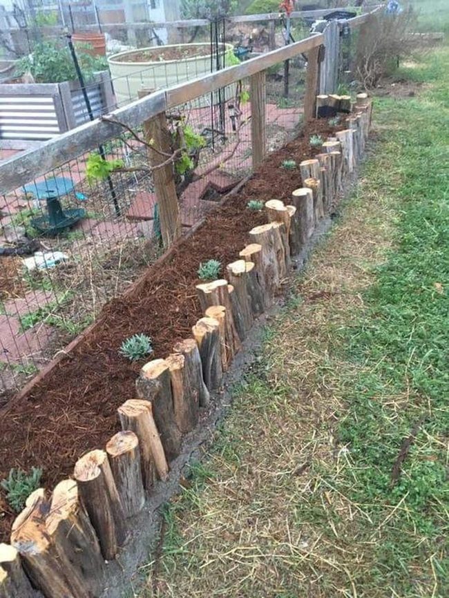 Stacked Log Borders With Succulents