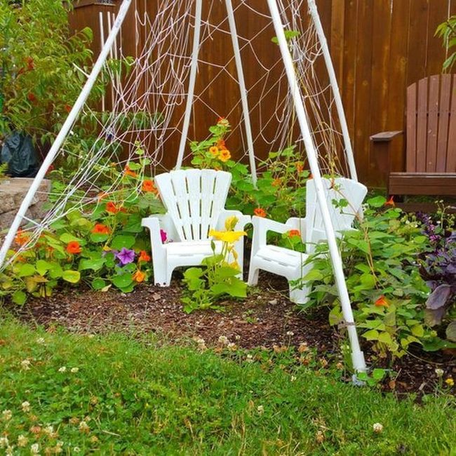 Climbing Flowers Through Triangular Pipe Frame