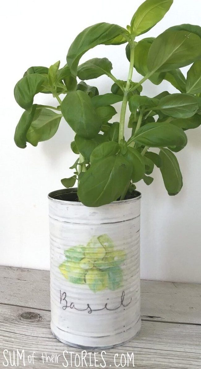 Indoor Herb Garden Planters